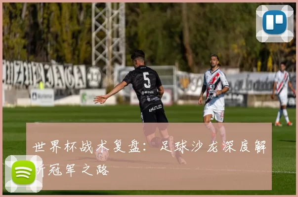 世界杯战术复盘：足球沙龙深度解析冠军之路