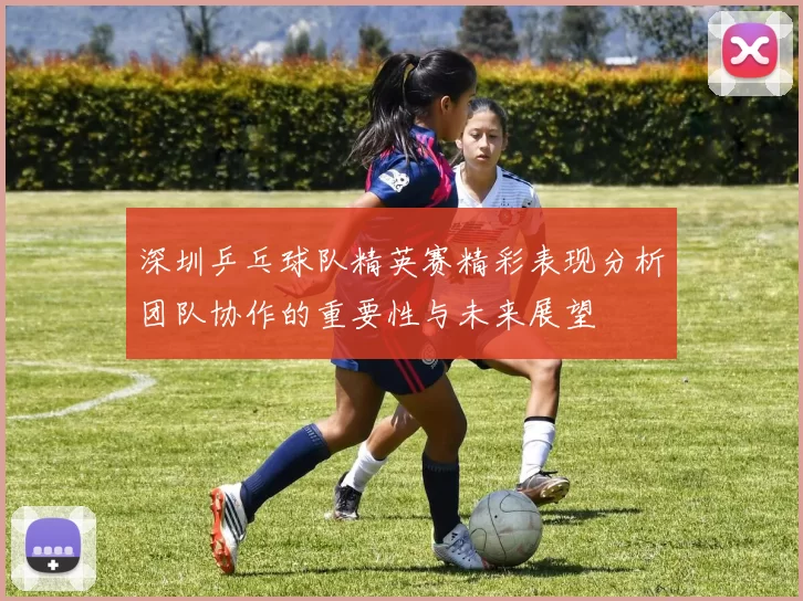 深圳乒乓球队精英赛精彩表现分析团队协作的重要性与未来展望