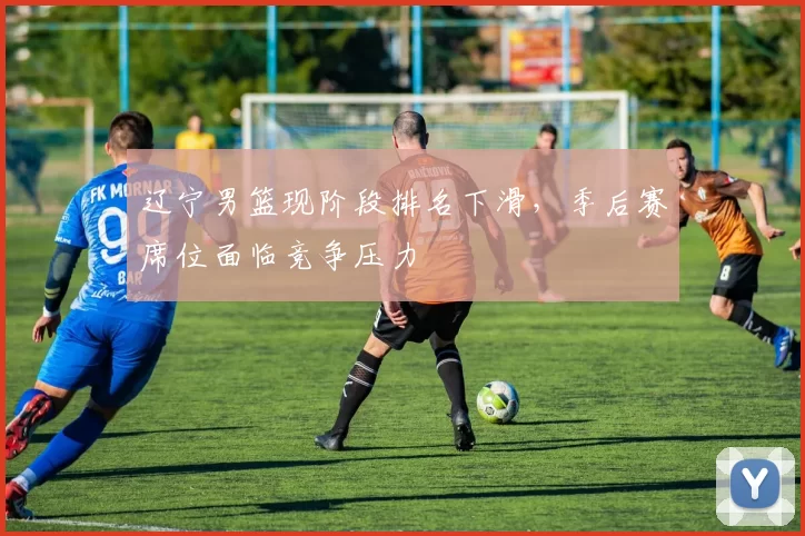 辽宁男篮现阶段排名下滑，季后赛席位面临竞争压力