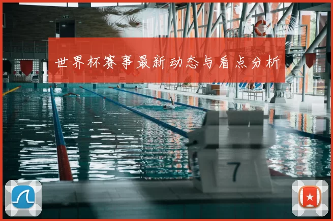 世界杯赛事最新动态与看点分析
