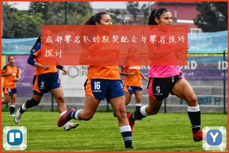 成都攀岩队的默契配合与攀岩技巧探讨