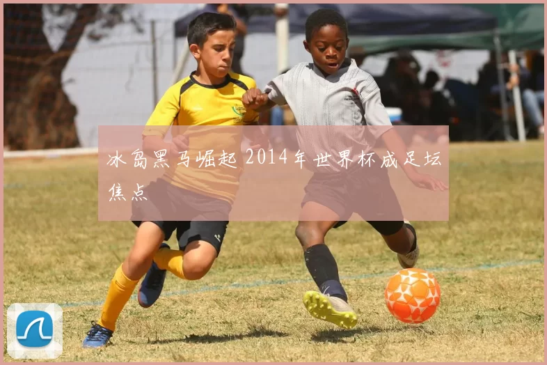 冰岛黑马崛起 2014年世界杯成足坛焦点