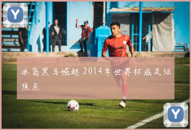 冰岛黑马崛起 2014年世界杯成足坛焦点