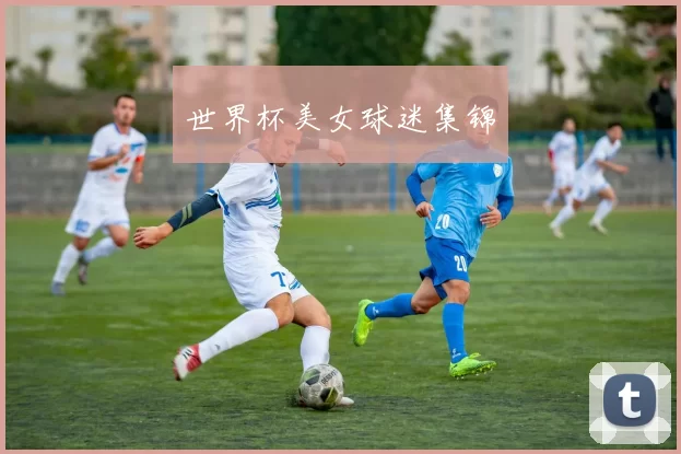 世界杯美女球迷集锦
