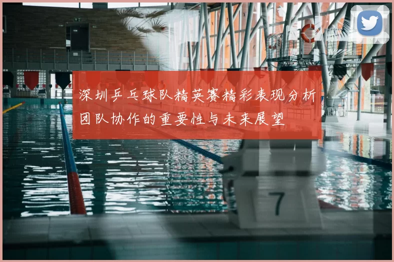 深圳乒乓球队精英赛精彩表现分析团队协作的重要性与未来展望
