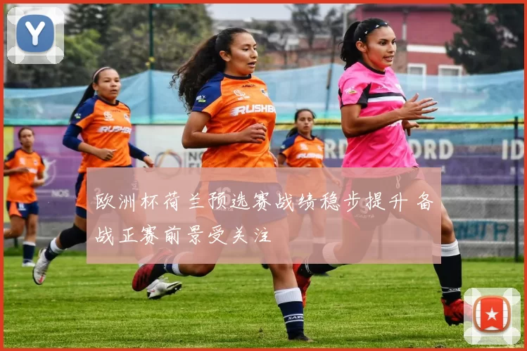 欧洲杯荷兰预选赛战绩稳步提升 备战正赛前景受关注