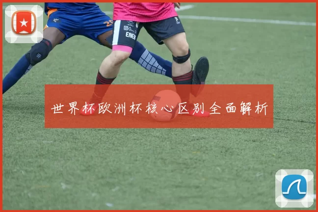 世界杯欧洲杯核心区别全面解析