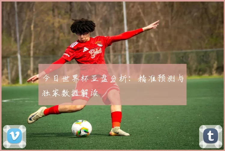 今日世界杯亚盘分析：精准预测与独家数据解读