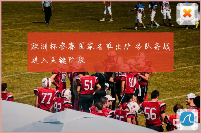 欧洲杯参赛国家名单出炉 各队备战进入关键阶段
