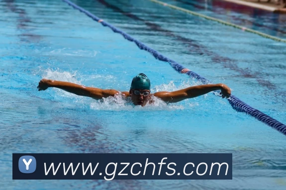 开云APP 高清赛事图